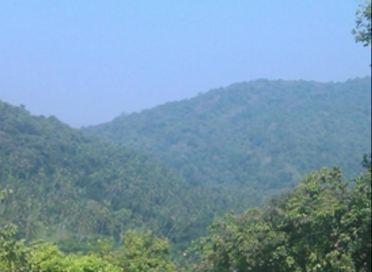 Birds Park Polgahawela 3* Wadakada